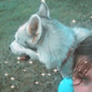 Meet your Posher, Lindsey